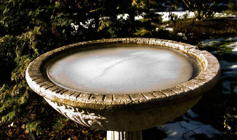 A frozen birdbath.