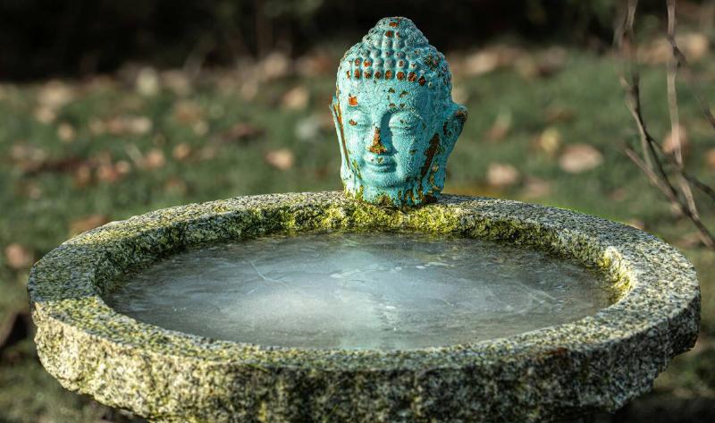 A frozen birdbath.