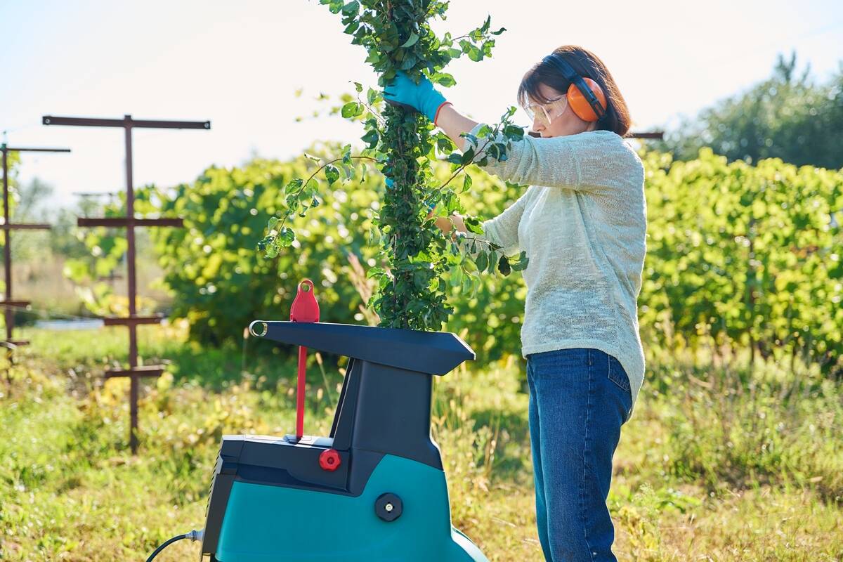 Woman using electric garden shredder for branches and bushes. Gardening, cleaning, tree pruning, eco-friendly waste disposal, spring summer autumn seasonal yard work