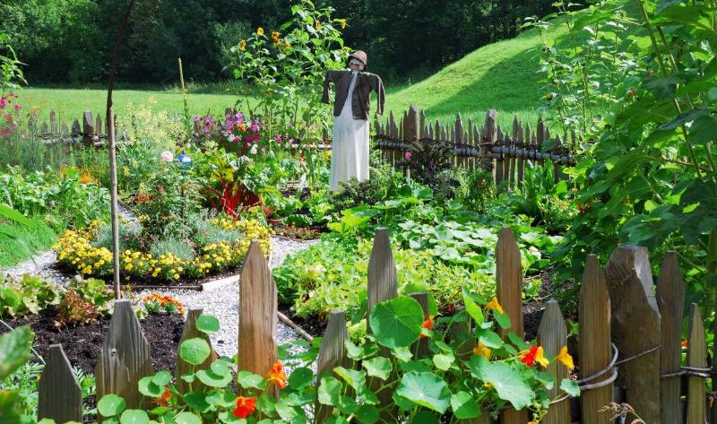 A well laid out garden with a scarecrow.