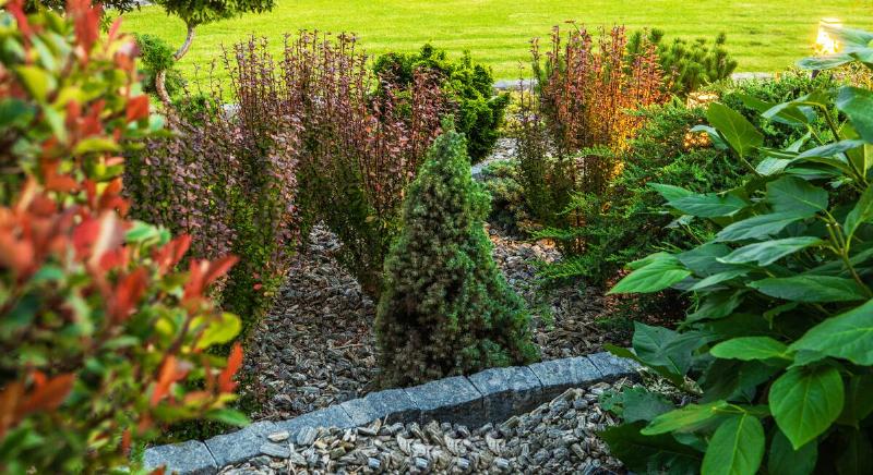 Small Rockery Garden Close Up Photo. Decorative Backyard Plants