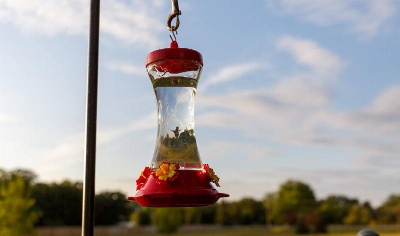 A hummingbird feeder hung on a post.