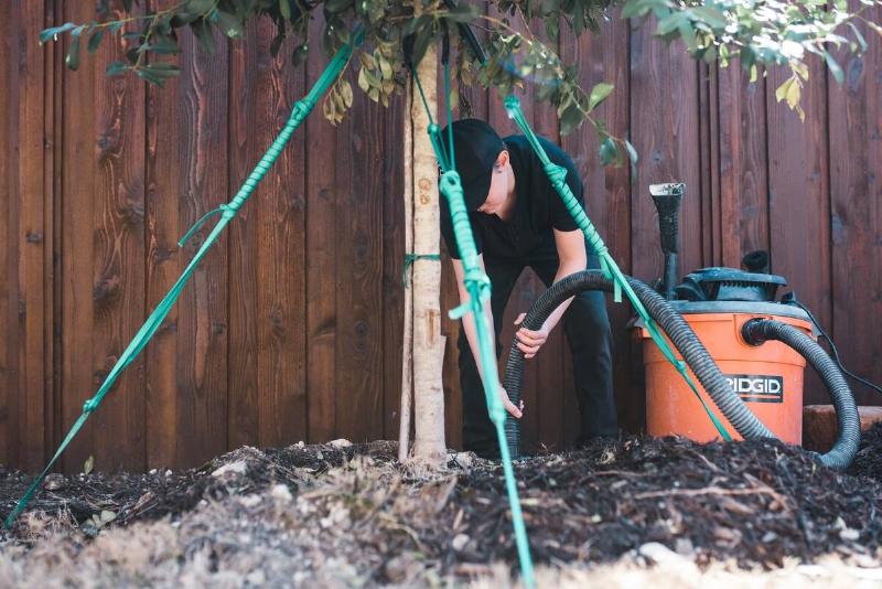 A tree being supported with stiff supports.