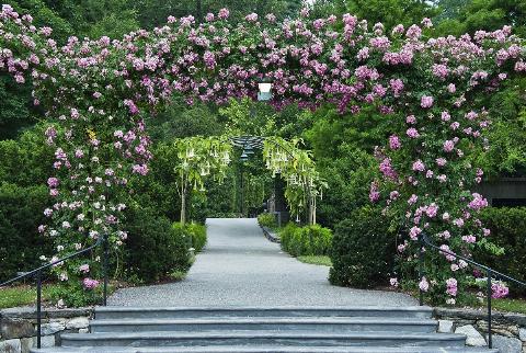 Rose arbor and path, Longwood Gardens, Kennet Square, Pennsylvania