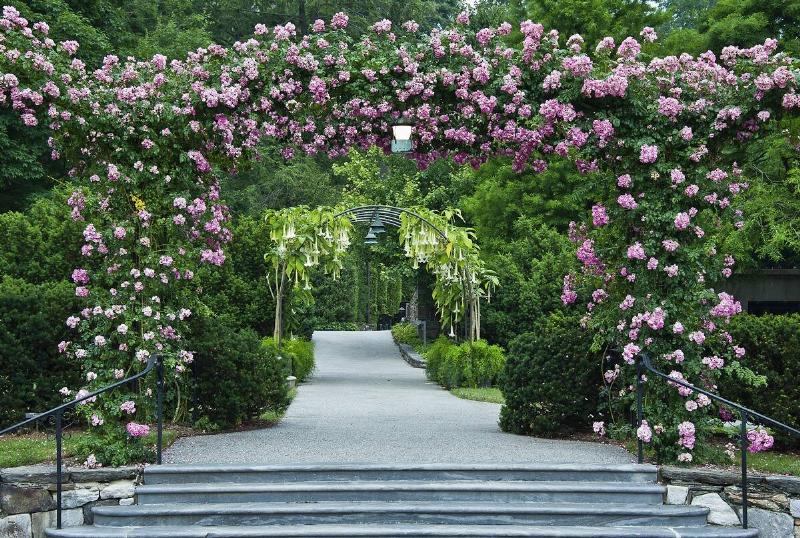 Rose arbor and path, Longwood Gardens, Kennet Square, Pennsylvania