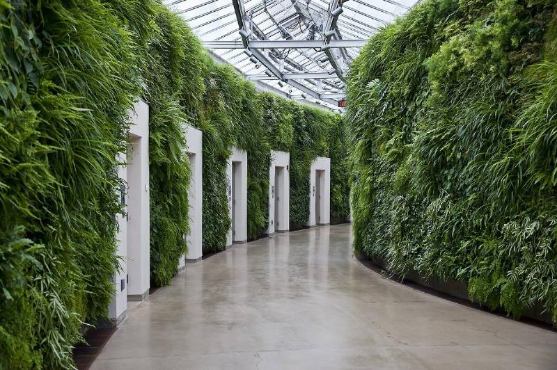Green wall in East Conservatory, Longwood Gardens, Kennet Square, Pennsylvania