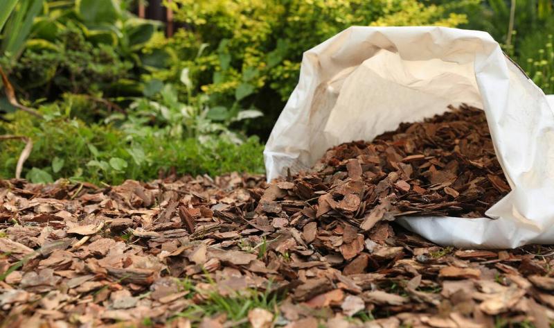A bag of woodchip mulch tipped over into a garden bed.