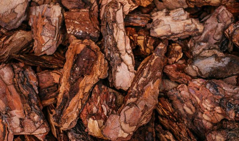 A closeup of bark mulch.
