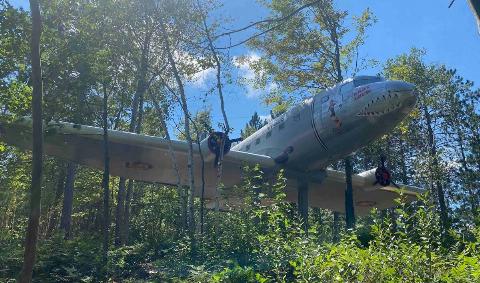 A photo of the plane from outside, surrounded by trees.