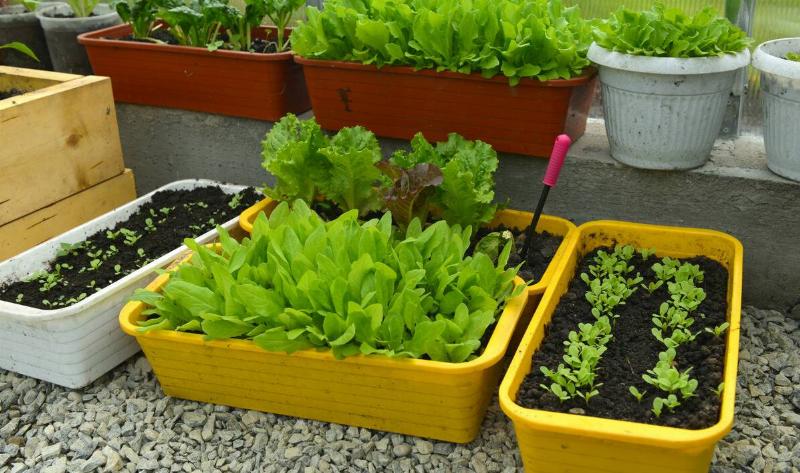 HP Site Meta Images(1)