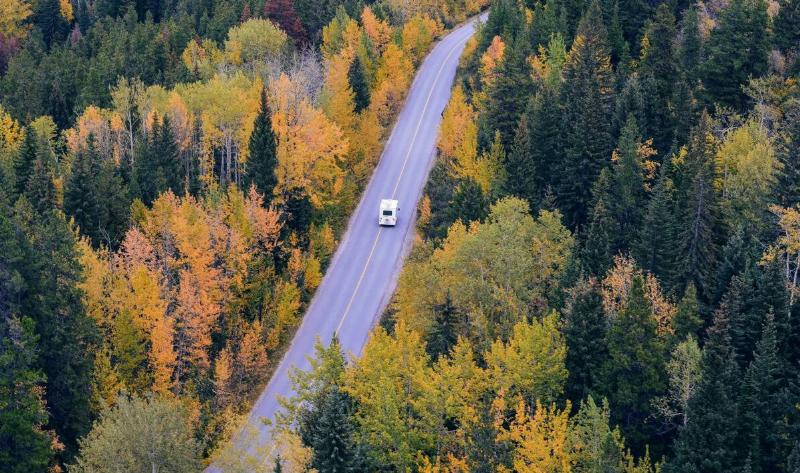 An RV driving down a forest road.