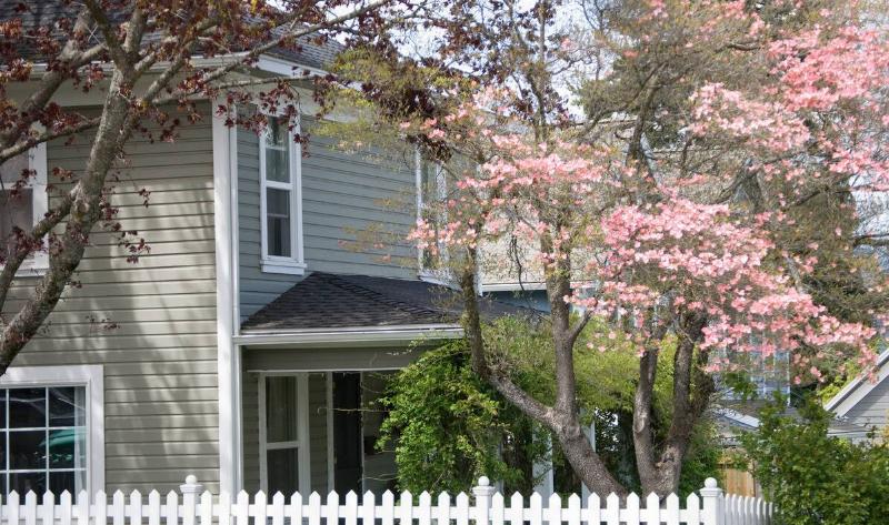 A house with blooming trees surrounding it.