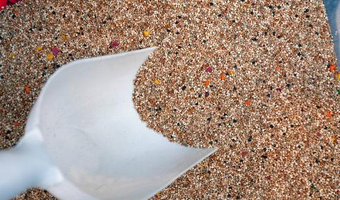 A scoop in a bin of birdseed.