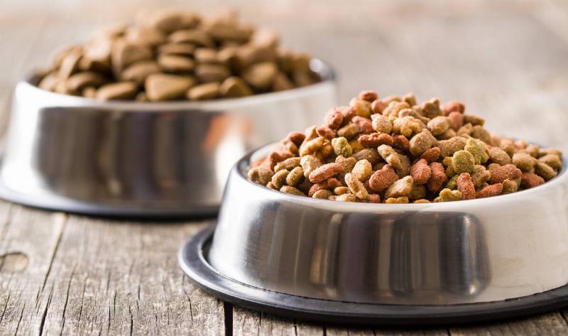 Two bowls of different dog kibble, one focused in the foreground, one blurry in the background.