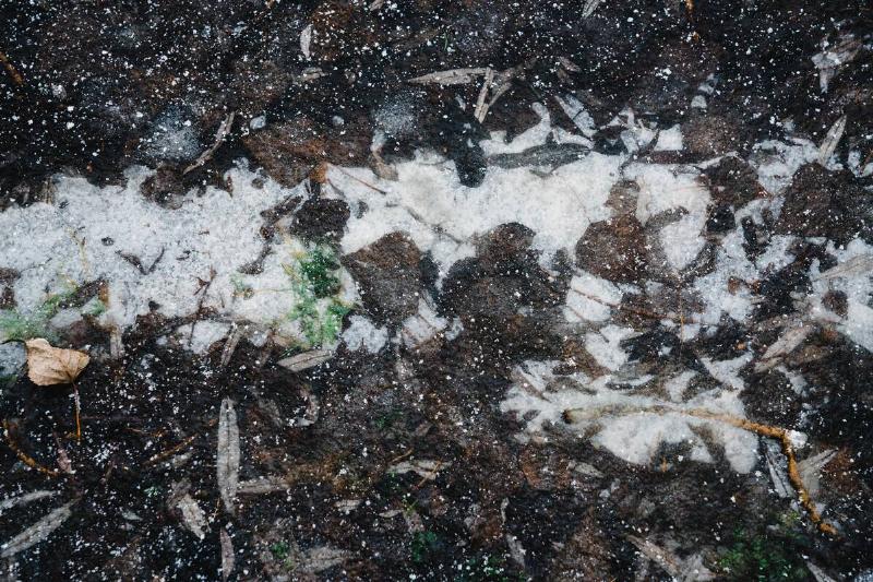 Snow falling on ground