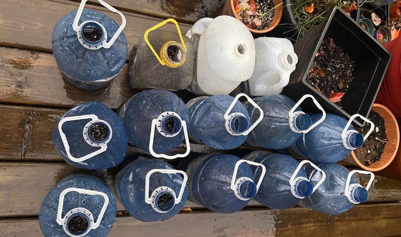 A collection of a person's winter sowing jugs.