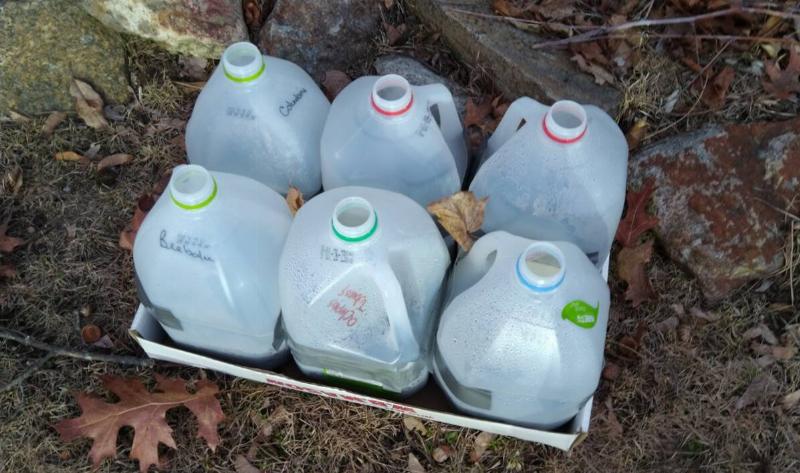 A collection of a person's winter sowing jugs.