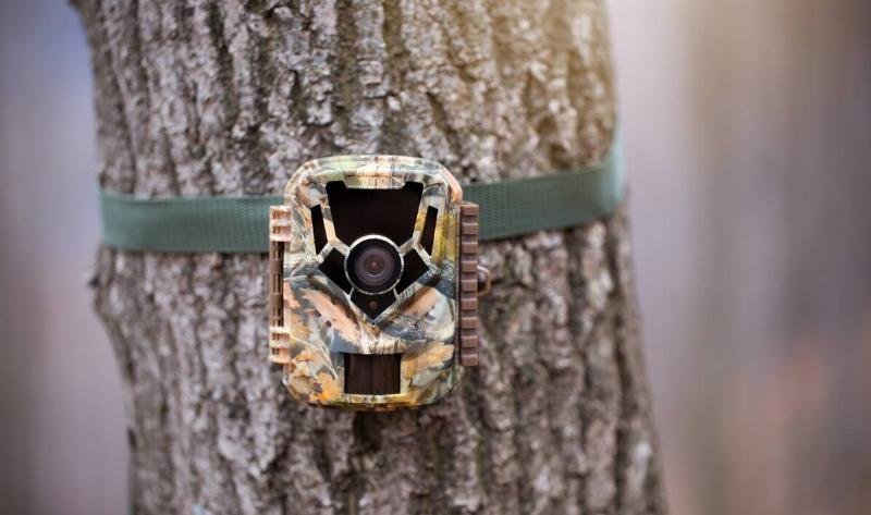 A trail camera attached to a tree.