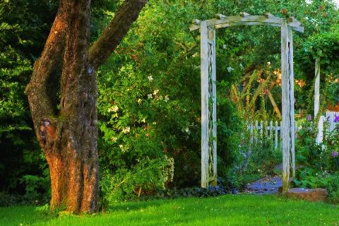 A small arbor surrounded by lush shrubs, marking the beginning of a stone path through a garden.