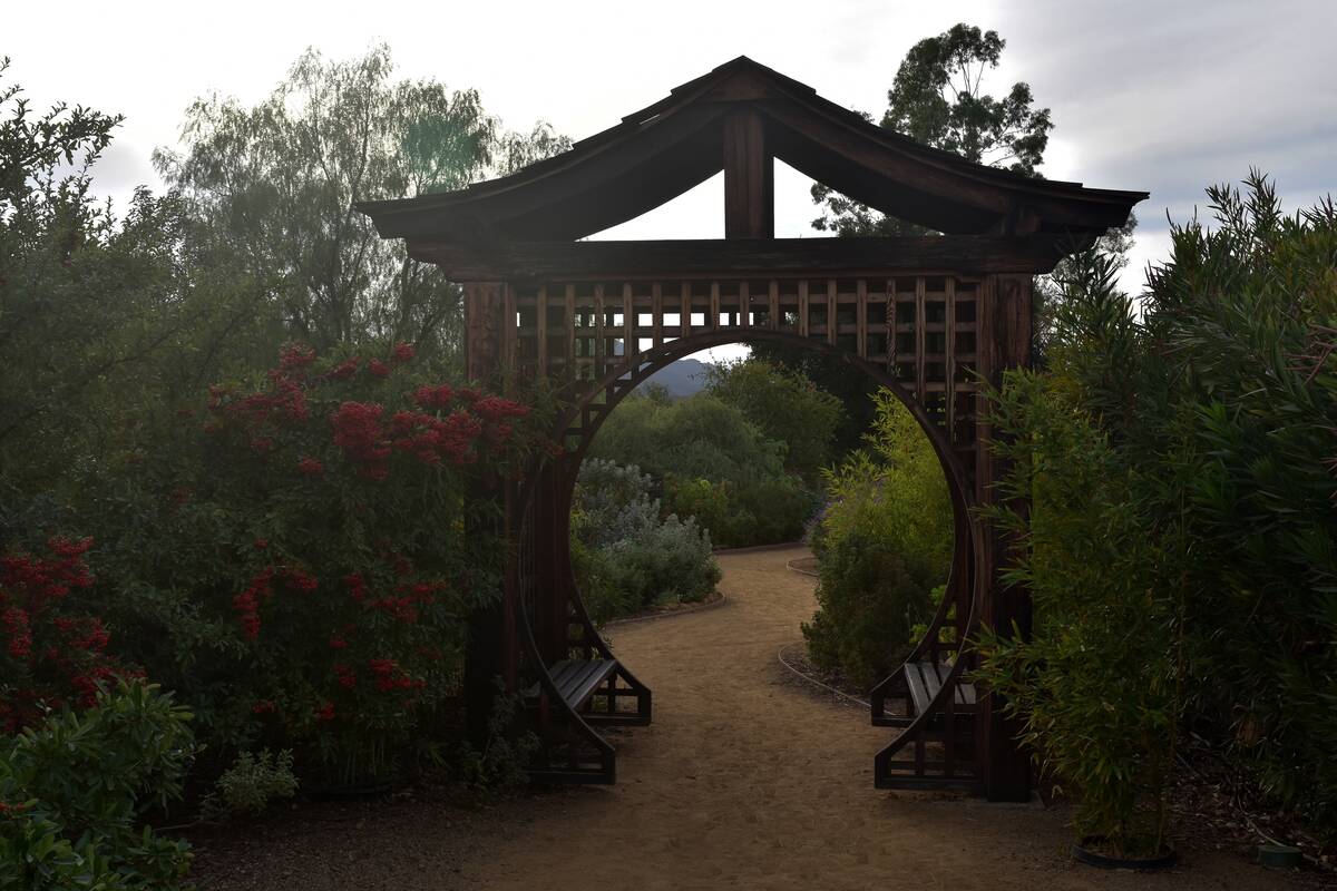 An arbor with benches built into the underneath.