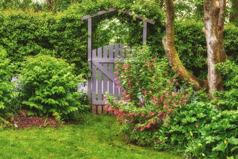 An arbor surrounded by hedge with a gate entrance in it.
