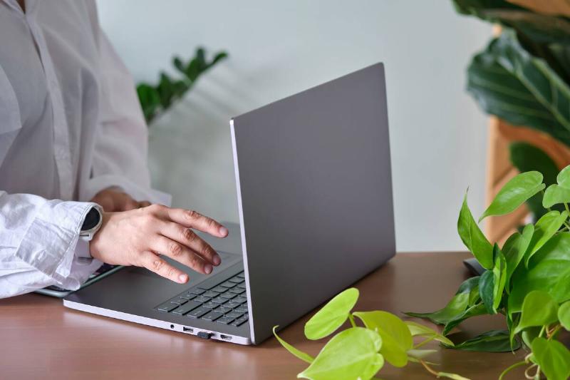 Women's hands at a laptop against a background of greenery on the table.