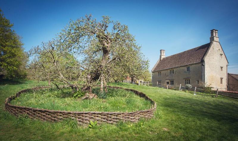 Woolsthorpe  Manor, the former home of Isaac Newton and in the foreground the Apple 
Tree understood to be the famous tree with regard gravity.