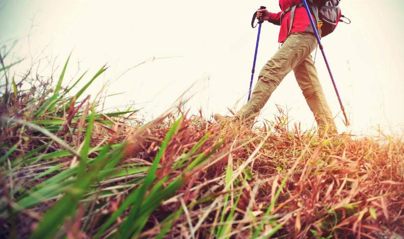 A low-angle photo of the lower half of a hiker in khakis walking through grass.