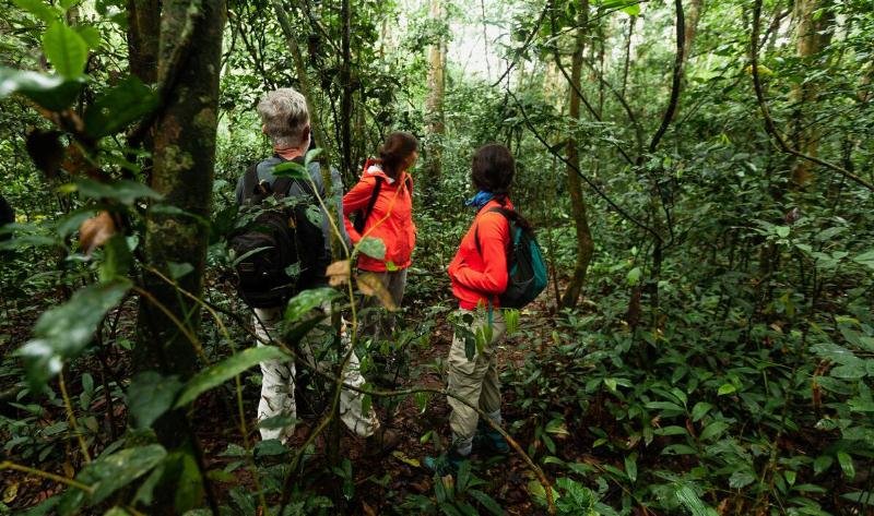 Three people hiking, all looking back over their shoulder, two wearing bright orange jackets.