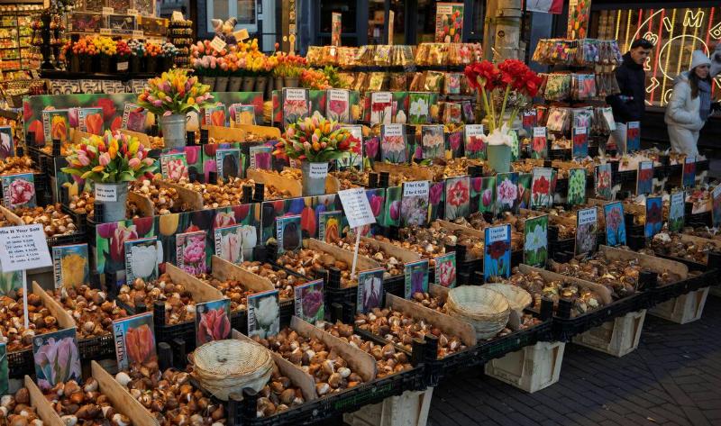 A market booth selling flower bulbs.
