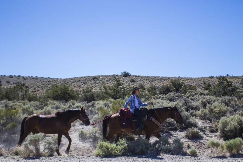 Samantha rides her horse Sage and ponies her horse Fremont after the ride. Samantha Szesciorka completed her 550 mile discovery trail ride in forty-four days.