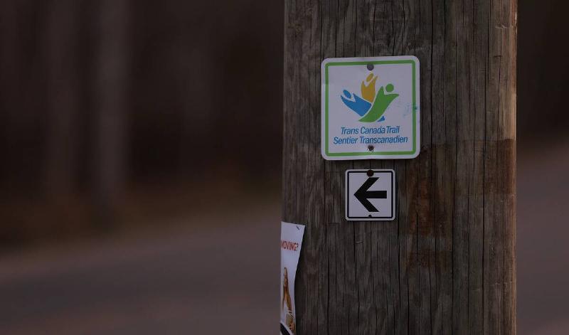A sign for the Trans Canada Trail on a sign post, an arrow pointing left beneath it.