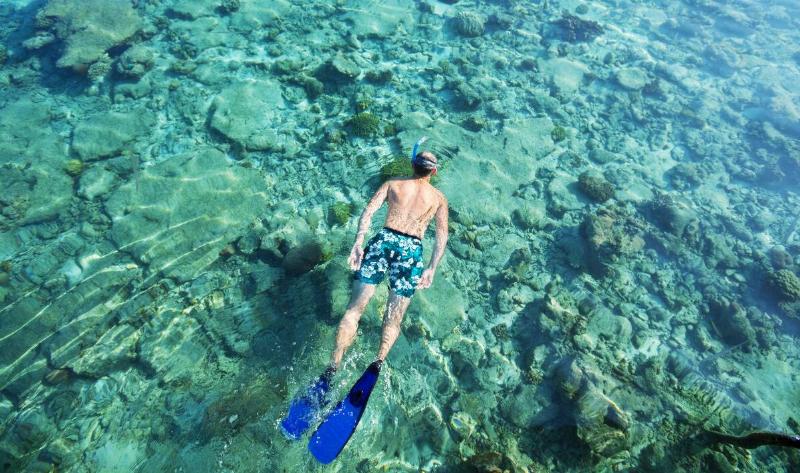 A man in swim shorts and blue diving flippers snorkeling in shallow, clear water.
