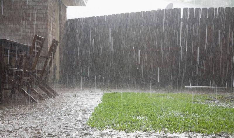 A backyard under heavy rain.