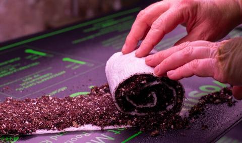 A person rolling up a seed snail.