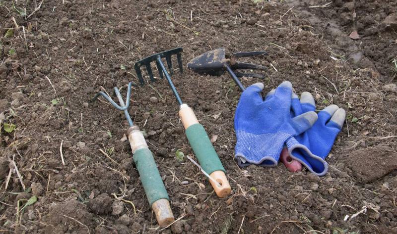 Gardening tools sitting in the dirt.