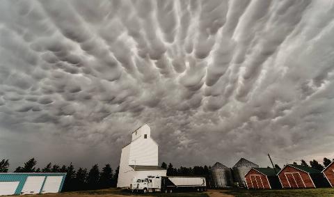 Mammatus Clouds over a farm.