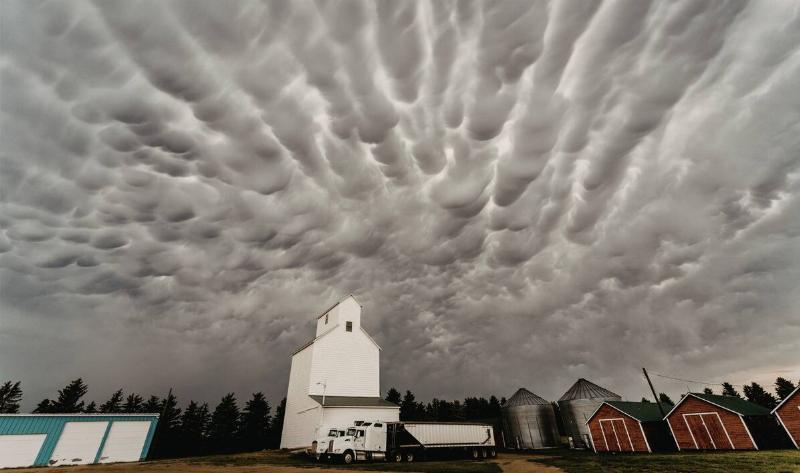 Mammatus Clouds over a farm.