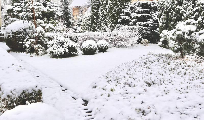 A snow-covered backyard.
