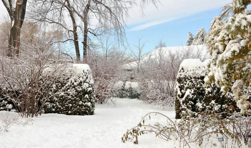 A snow-covered backyard.