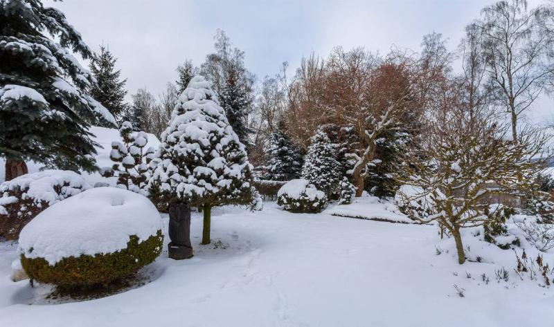 A snow-covered backyard.