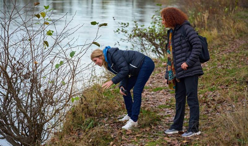 Two woman peering into a bush, both holding binoculars.