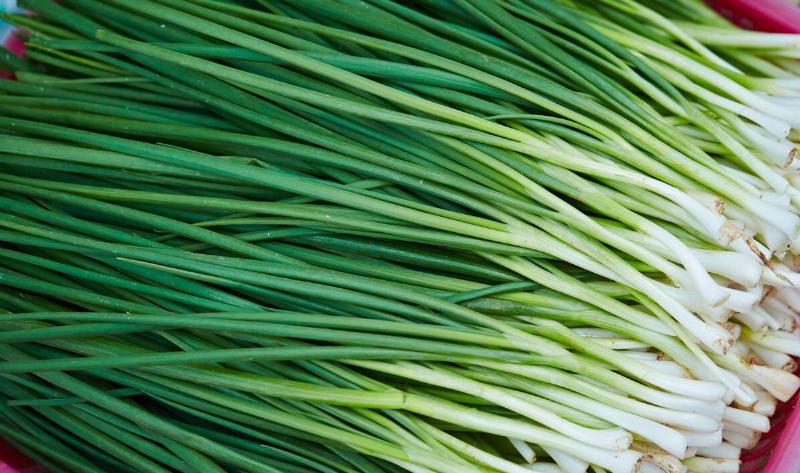 A large selection of harvested chives.