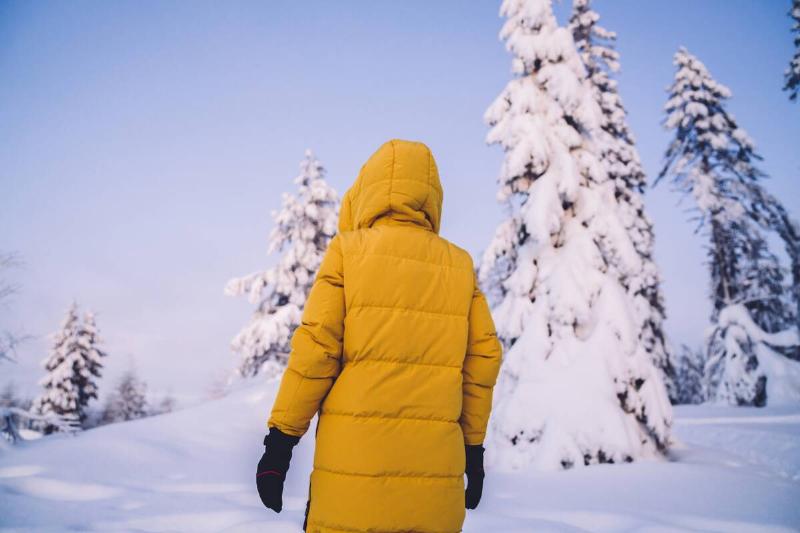 Back view of woman in yellow warm coat standing on snowy natural environment in Lapland, female explorer enjoying recreating on northern environment on free time