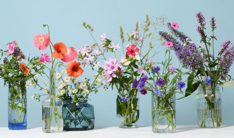 A row of vases of flowers against a blue background.