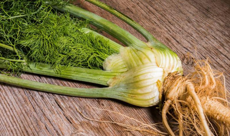 A fennel plant on a wooden surface.
