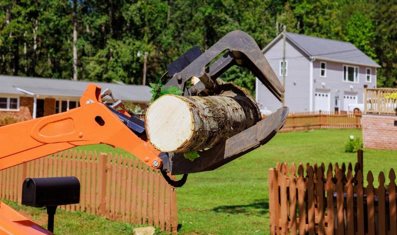 An excavator holding a piece of cut tree trunk.