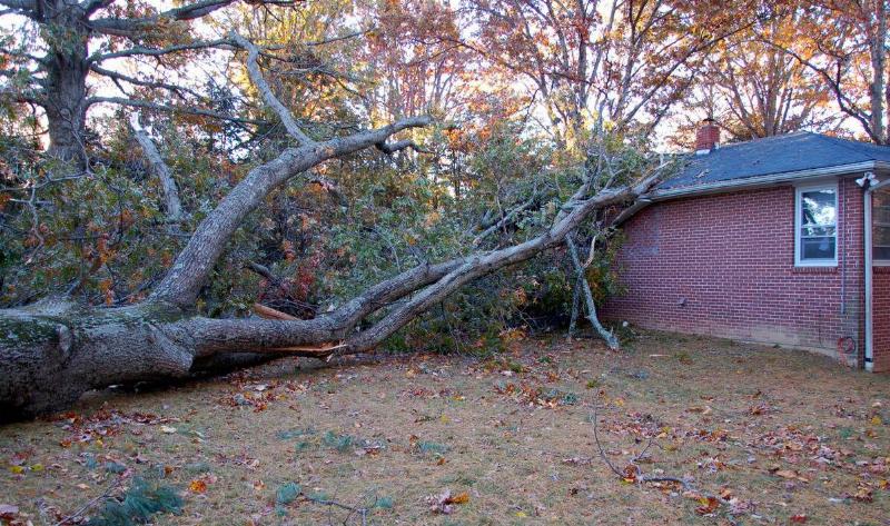 A large tree that's fallen down onto a home.