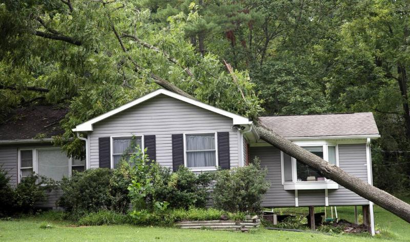 A tree that's fallen on top of a home.