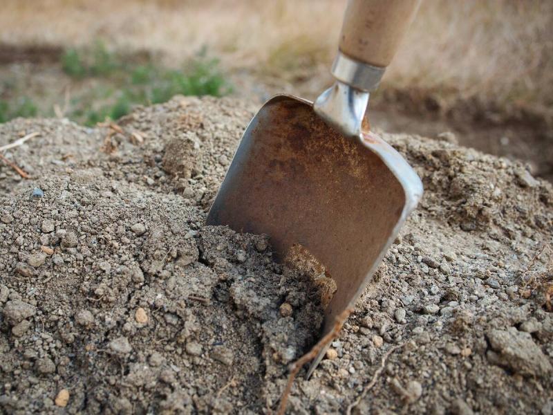 A garden trowel in a pile of dry dirt.